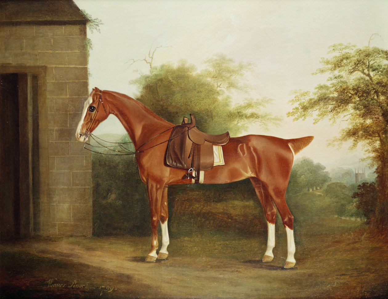 Hest med sidesal av Thomas Weaver