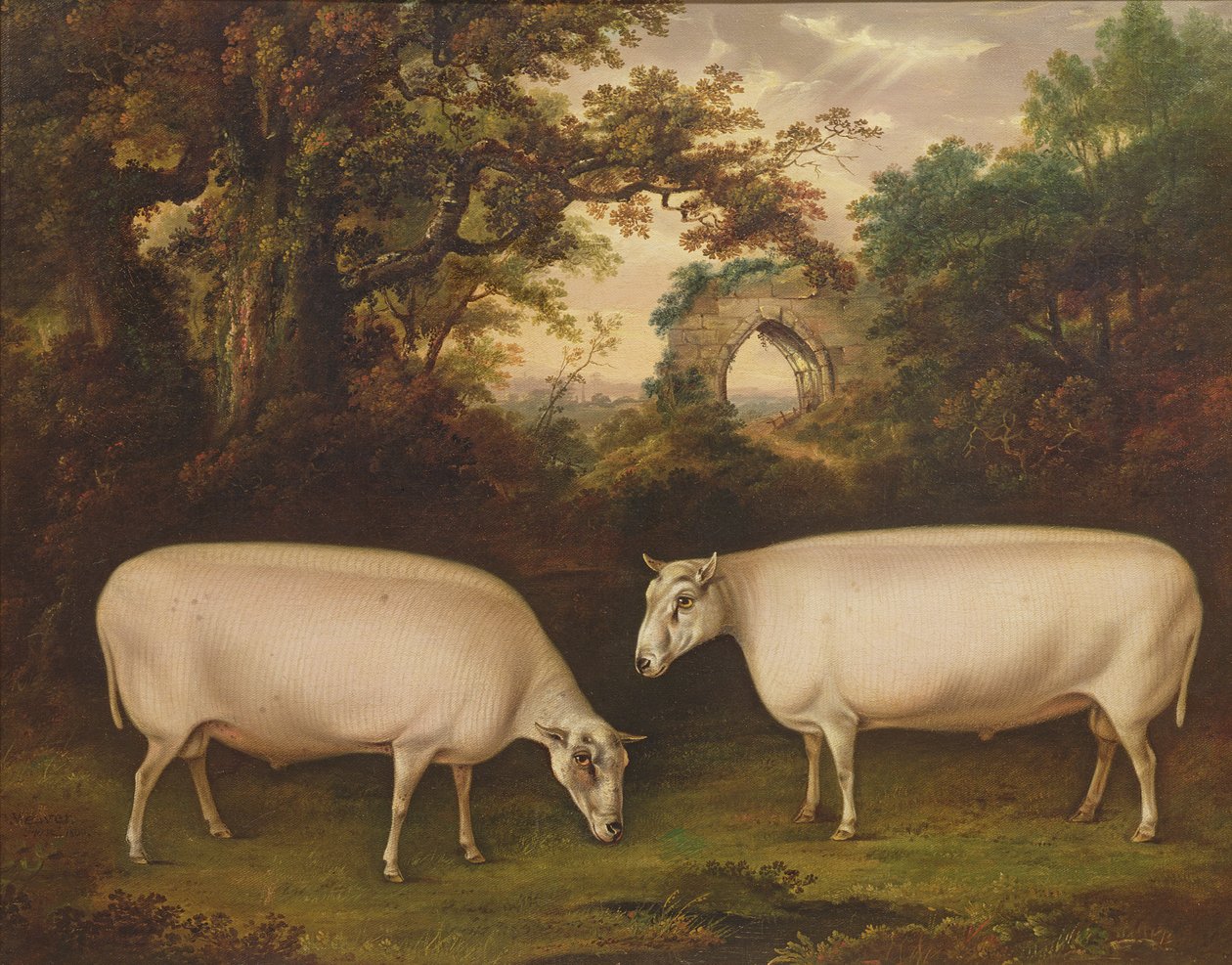 To priser Border Leicester Rams in a Landscape, 1800 av Thomas Weaver