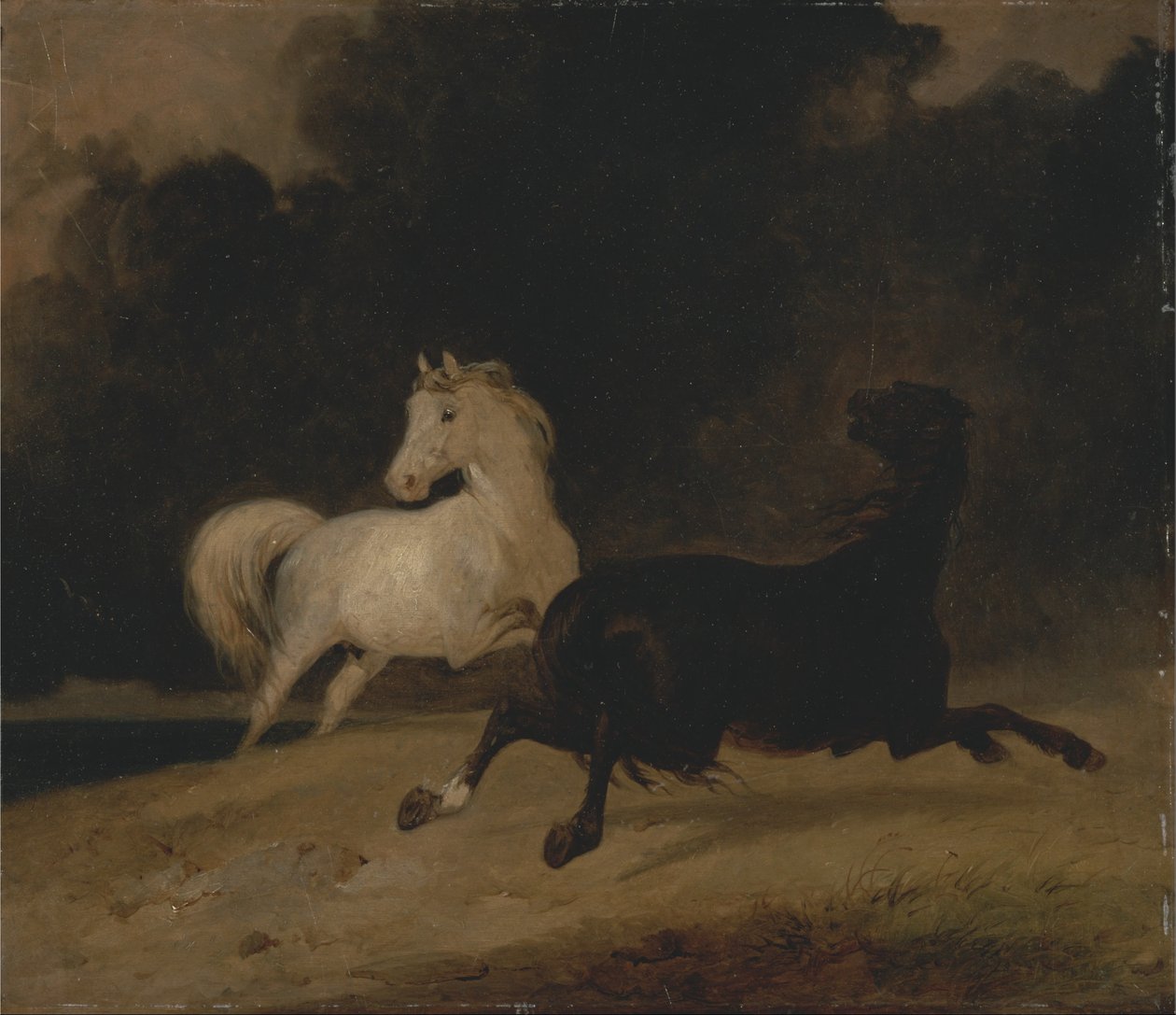 Hester i tordenvær av Thomas Woodward