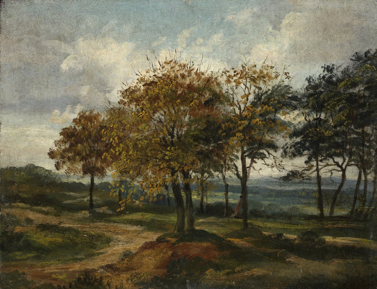 Skogkledd landskap av Thomas Churchyard