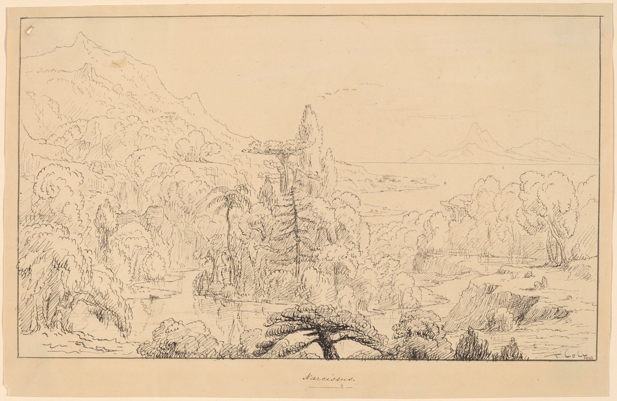 Narcissus [straight] av Thomas Cole