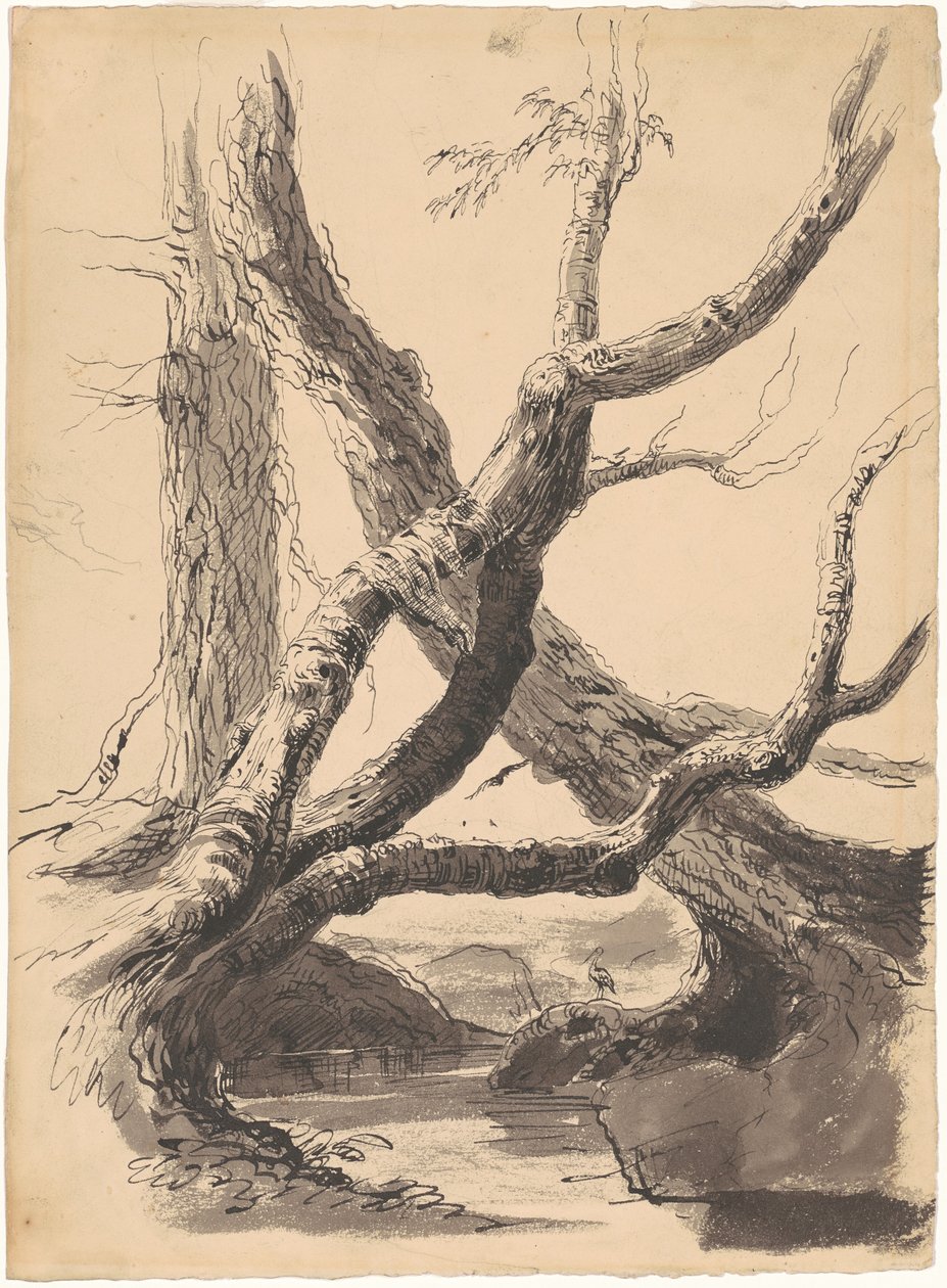 Trestammer av Thomas Cole