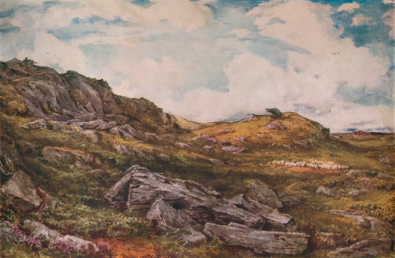 Blythburgh Common, 1888 av Thomas Collier