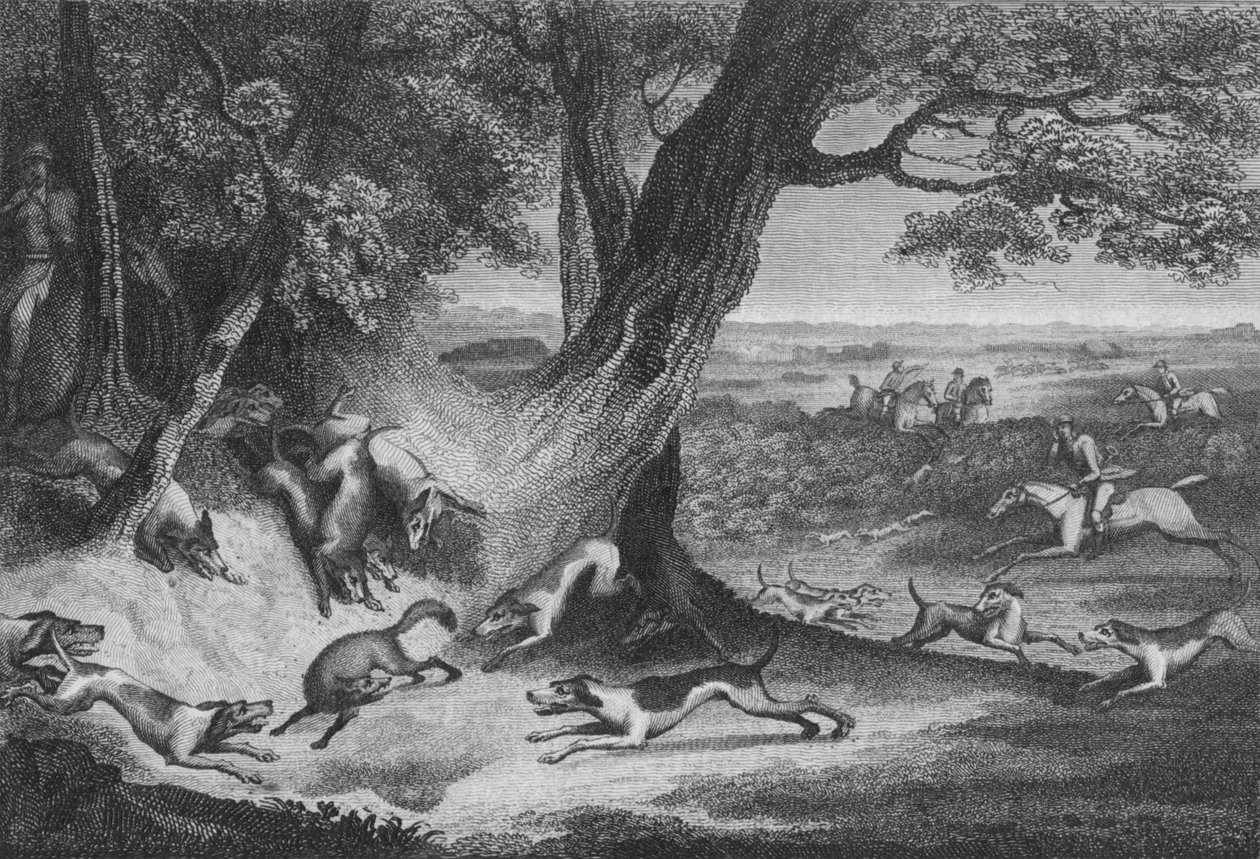 Revens død, 1793. av Thomas Cook
