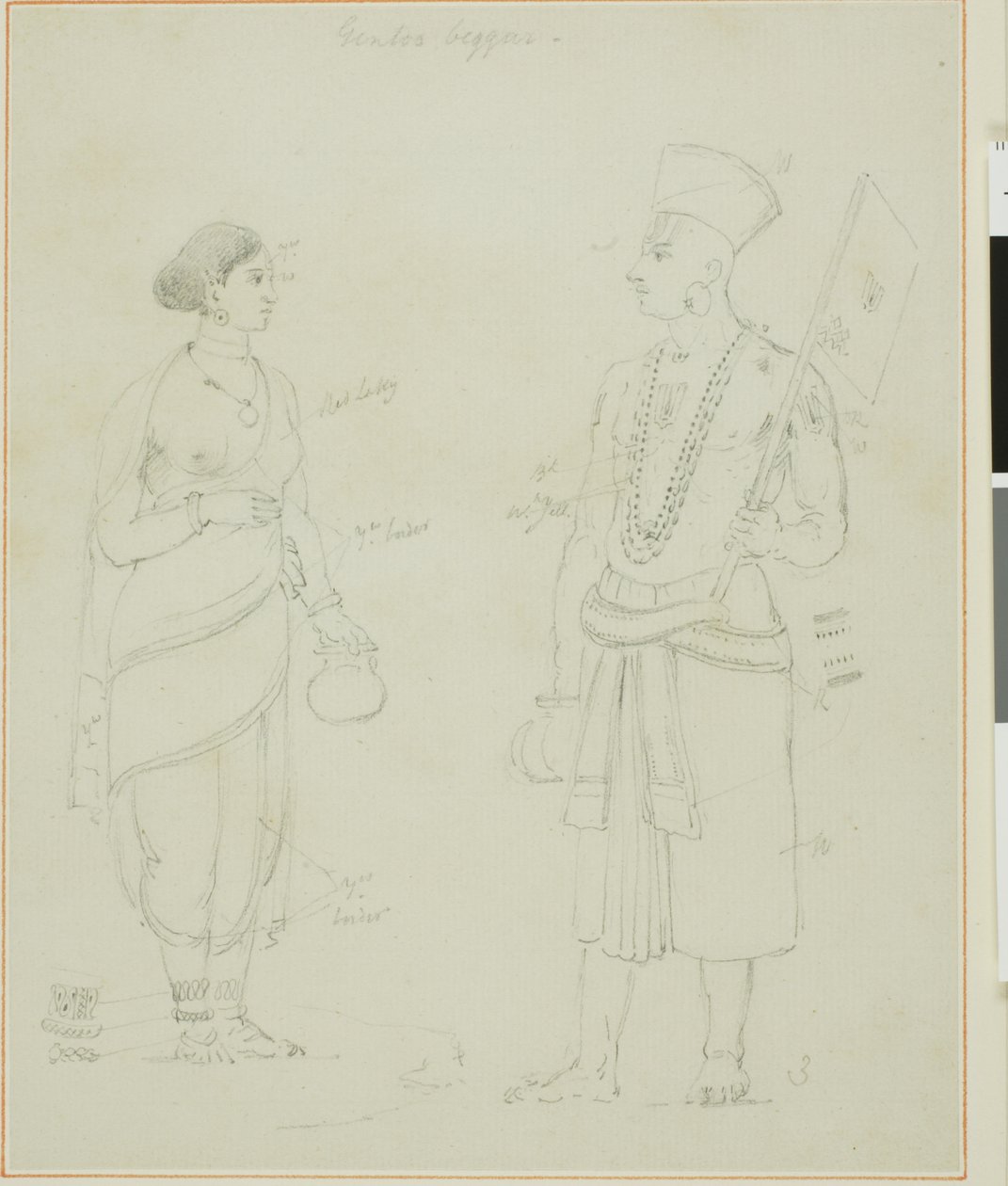 Gintoo tiggere av Thomas Daniell
