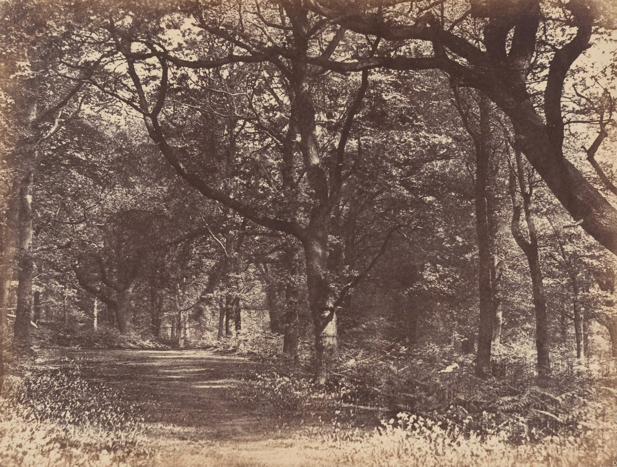 Trescene, Norton, Cheshire, 1856. av Thomas Davies