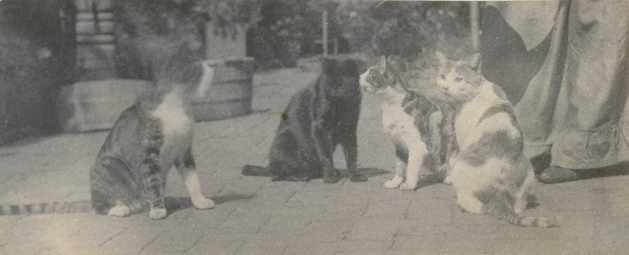 Fire katter, ca. 1895. av Thomas Eakins