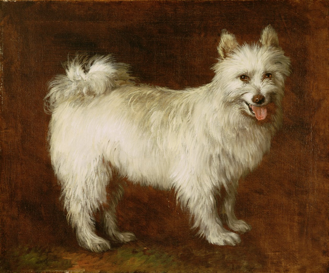 Spitz Dog, ca. 1760-70 (olje på lerret) av Thomas Gainsborough