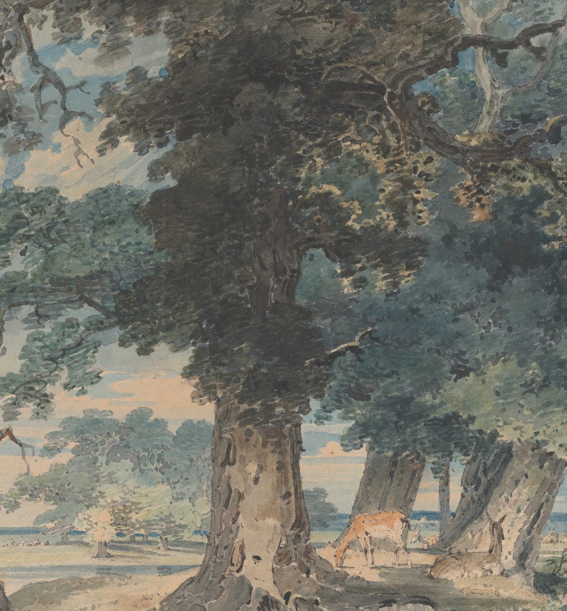 Hjort i Windsor Forest, 1793-94. av Thomas Girtin