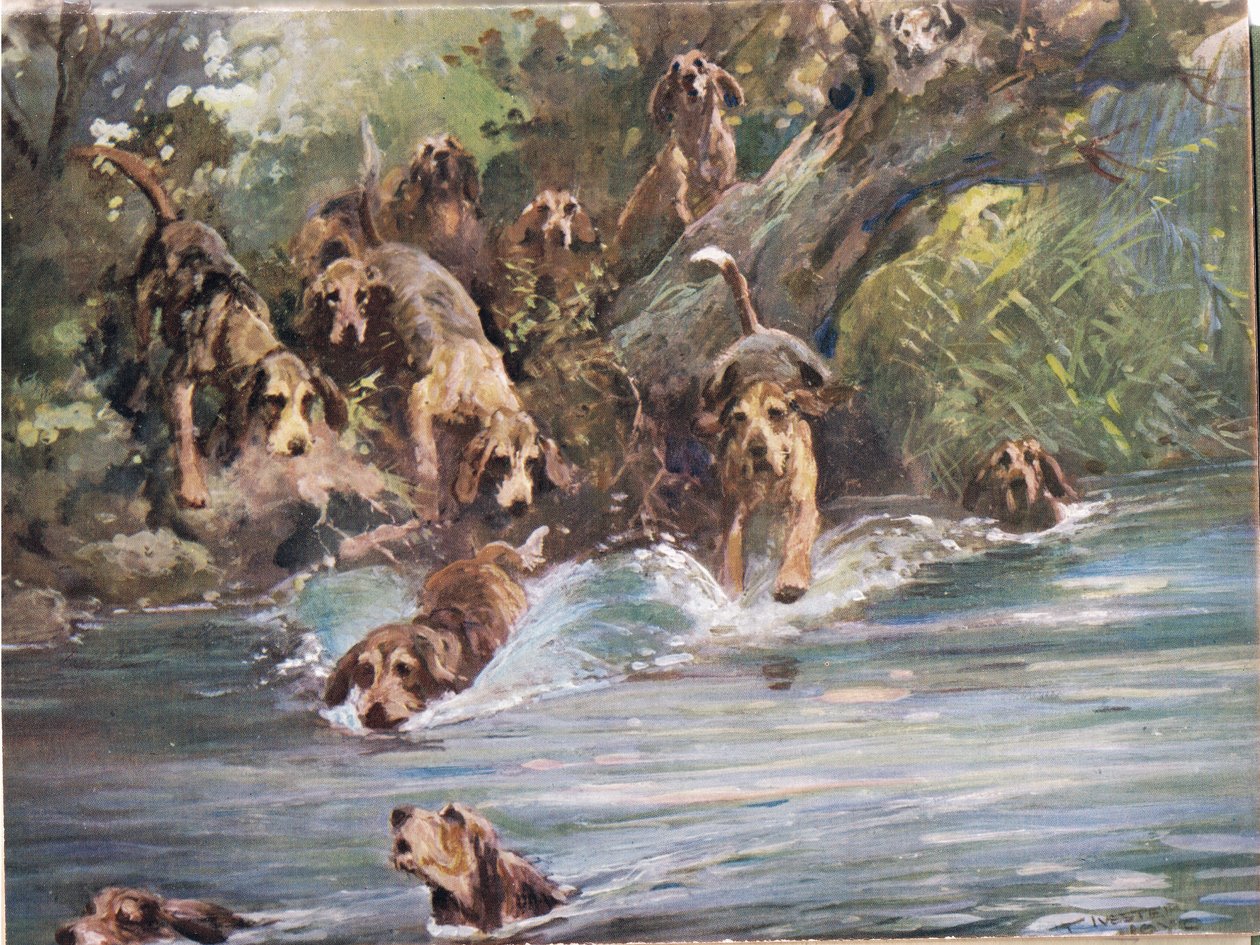 Into the River, illustrasjon fra 