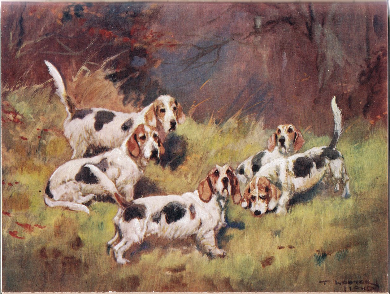 Venter, illustrasjon fra "Hounds" av Thomas Ivester Lloyd