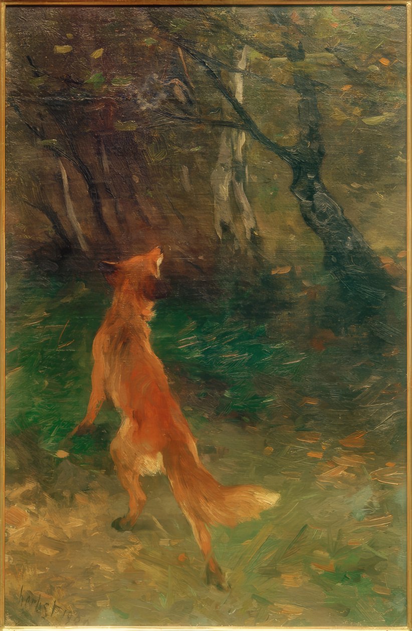Fox ser på en fugl av Thomas Ludwig Herbst