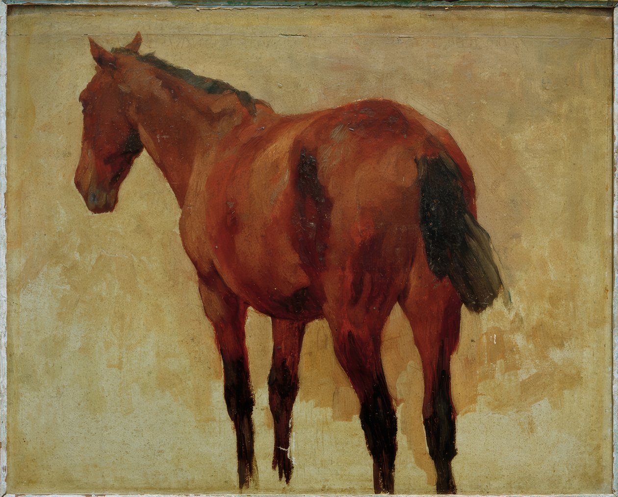 Hestestudie av Thomas Ludwig Herbst