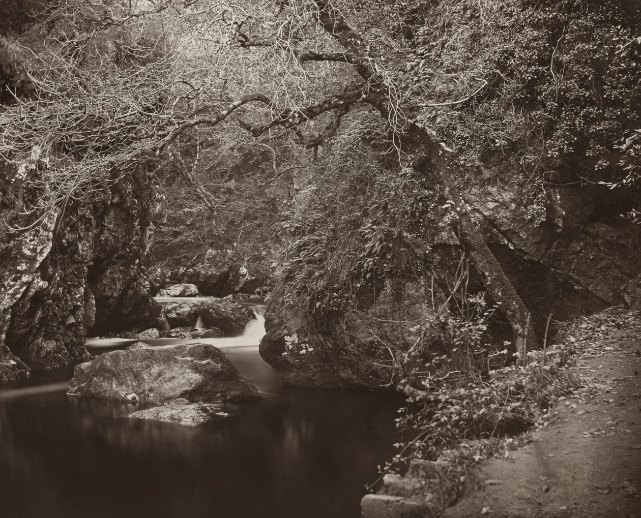 Dargle-hullet av Thomas Marcus Brownrigg