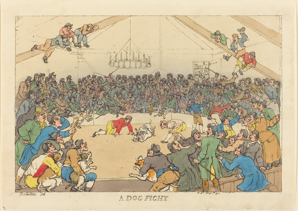 En hundekamp av Thomas Rowlandson
