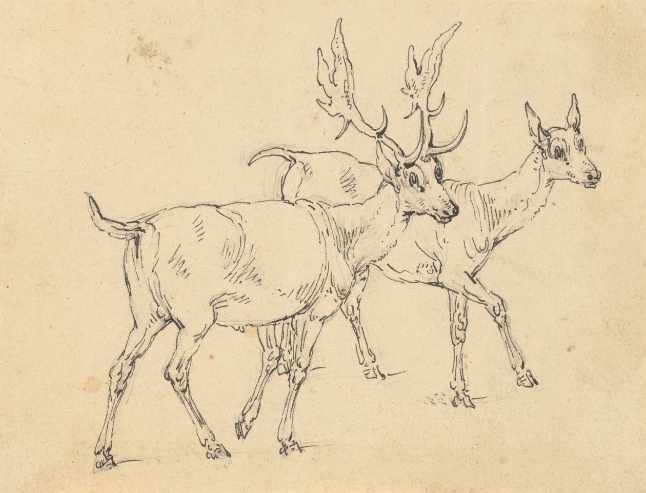 Album tegning av Thomas Rowlandson