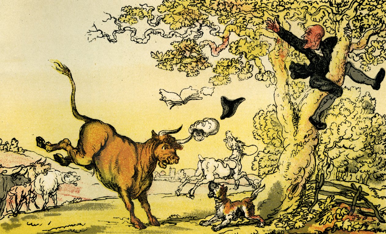'Dr Syntax forfulgt av en okse' av Thomas Rowlandson