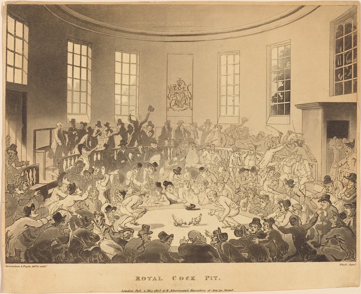Royal Cockpit av Thomas Rowlandson