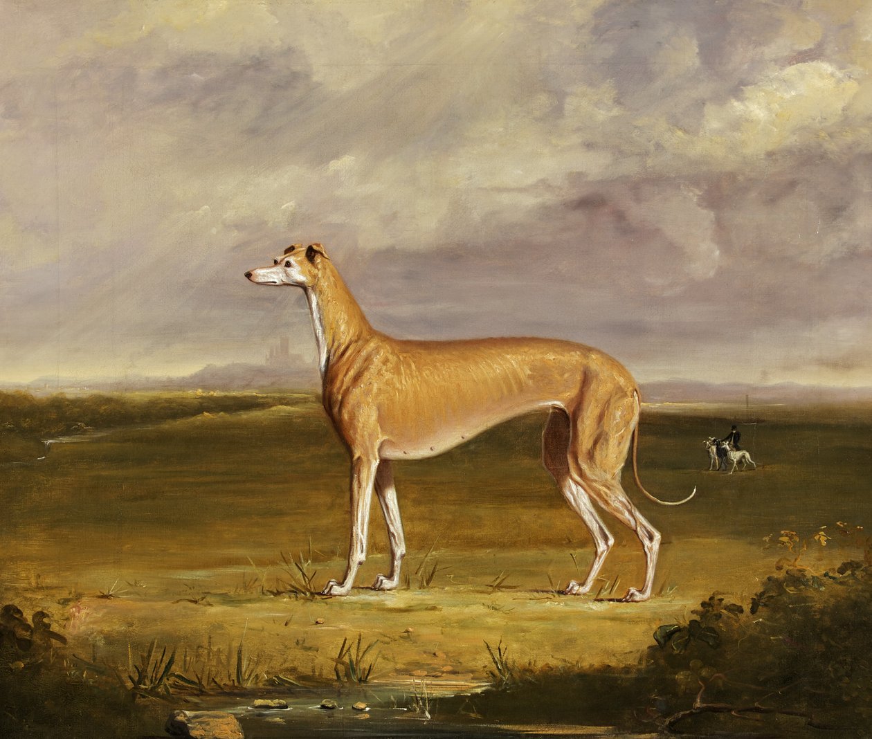 The Greyhound, ca. 1830 (olje på lerret) av Thomas W. Bretland