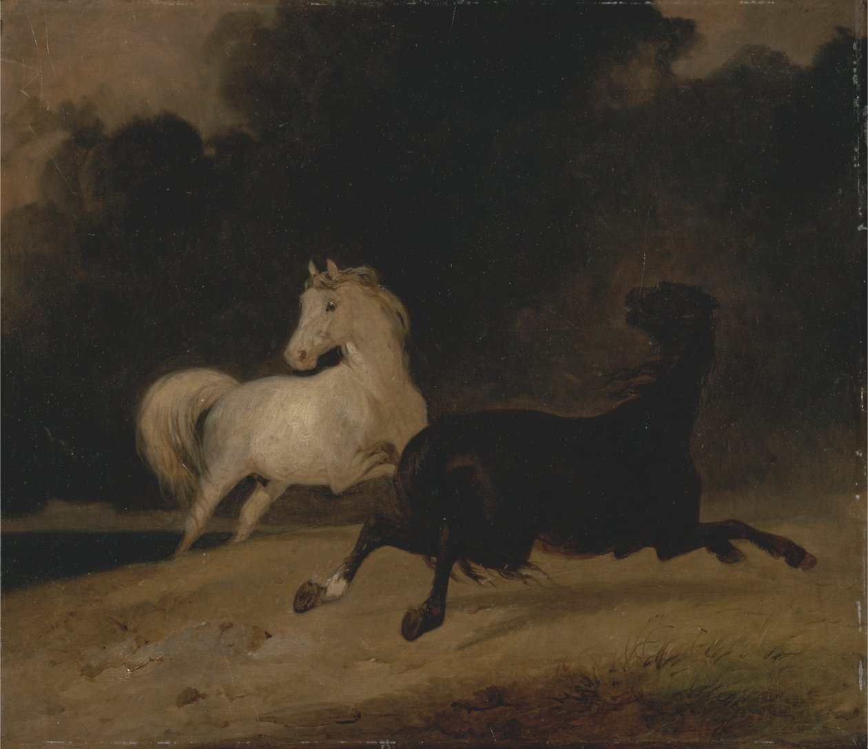 Hester i tordenvær av Thomas Woodward