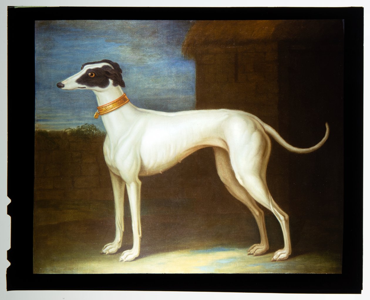  av Thomas of Pall Mall Butler