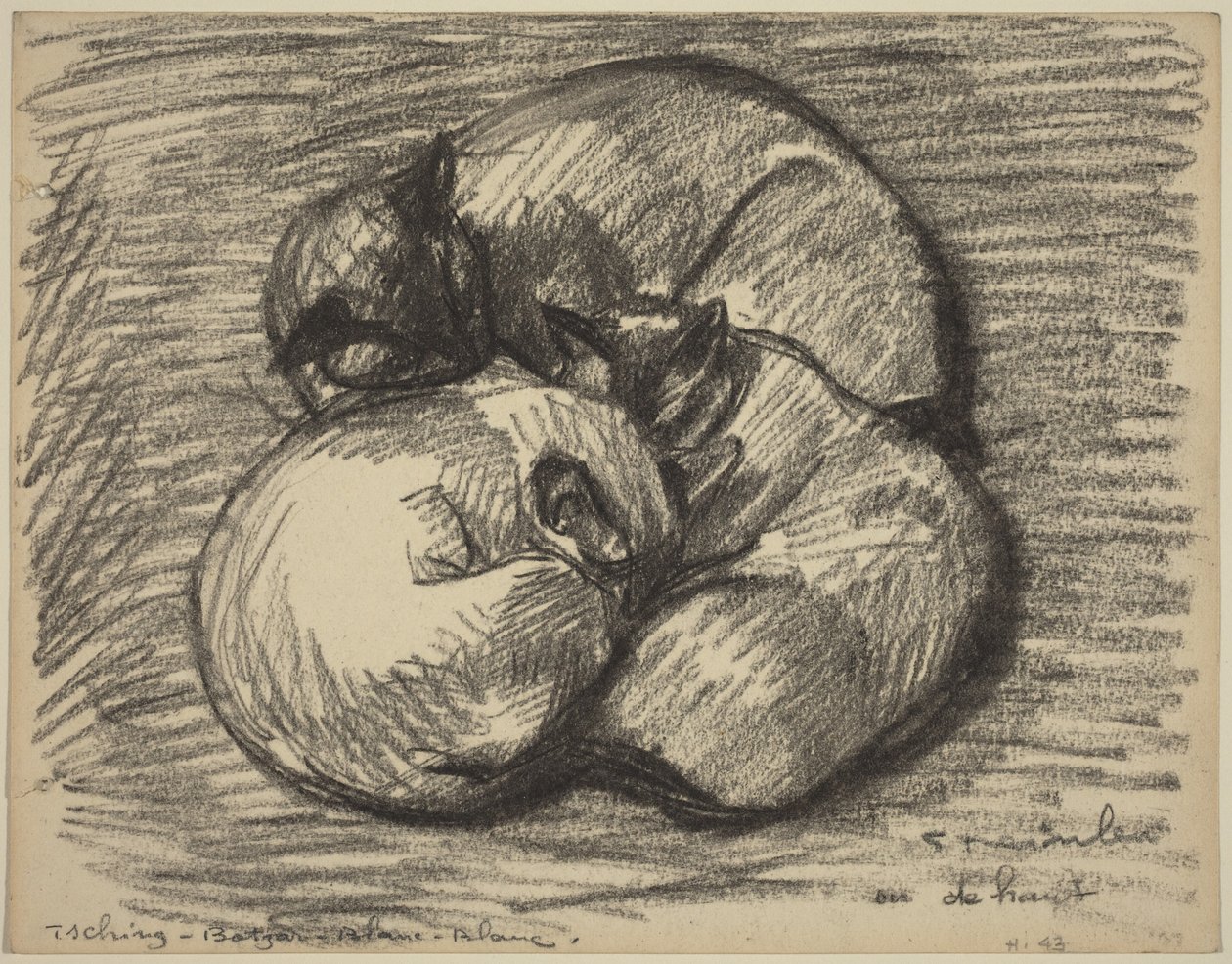 Kattene: Tsching, Batzar og Blanc-Blanc av Théophile Alexandre Steinlen