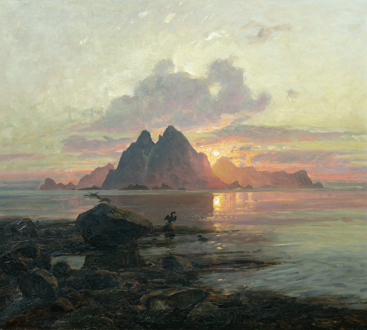 Phalacrocoarax aristotelis i midnattssol av Thorolf Holmboe