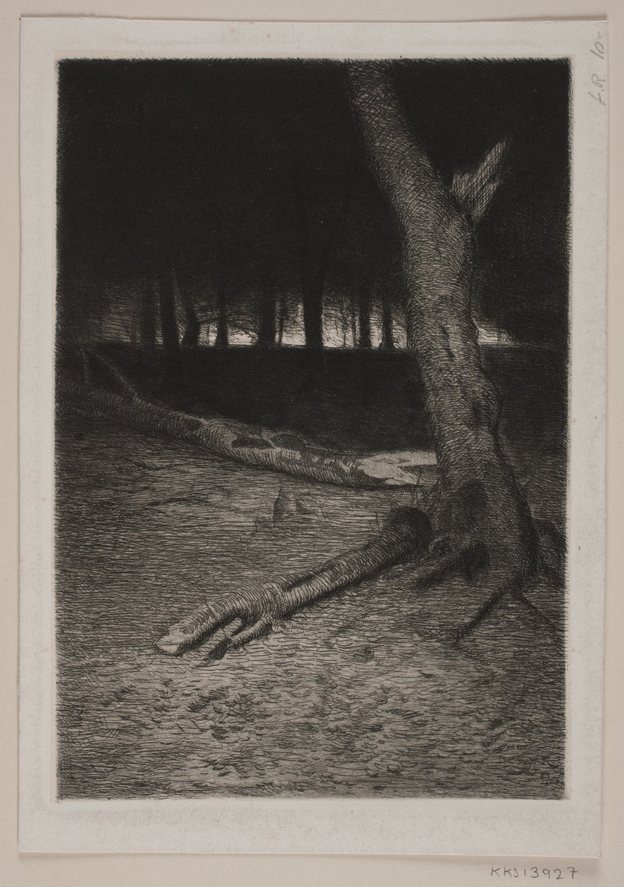 Skog interiør. Kveld av Thorvald Niss