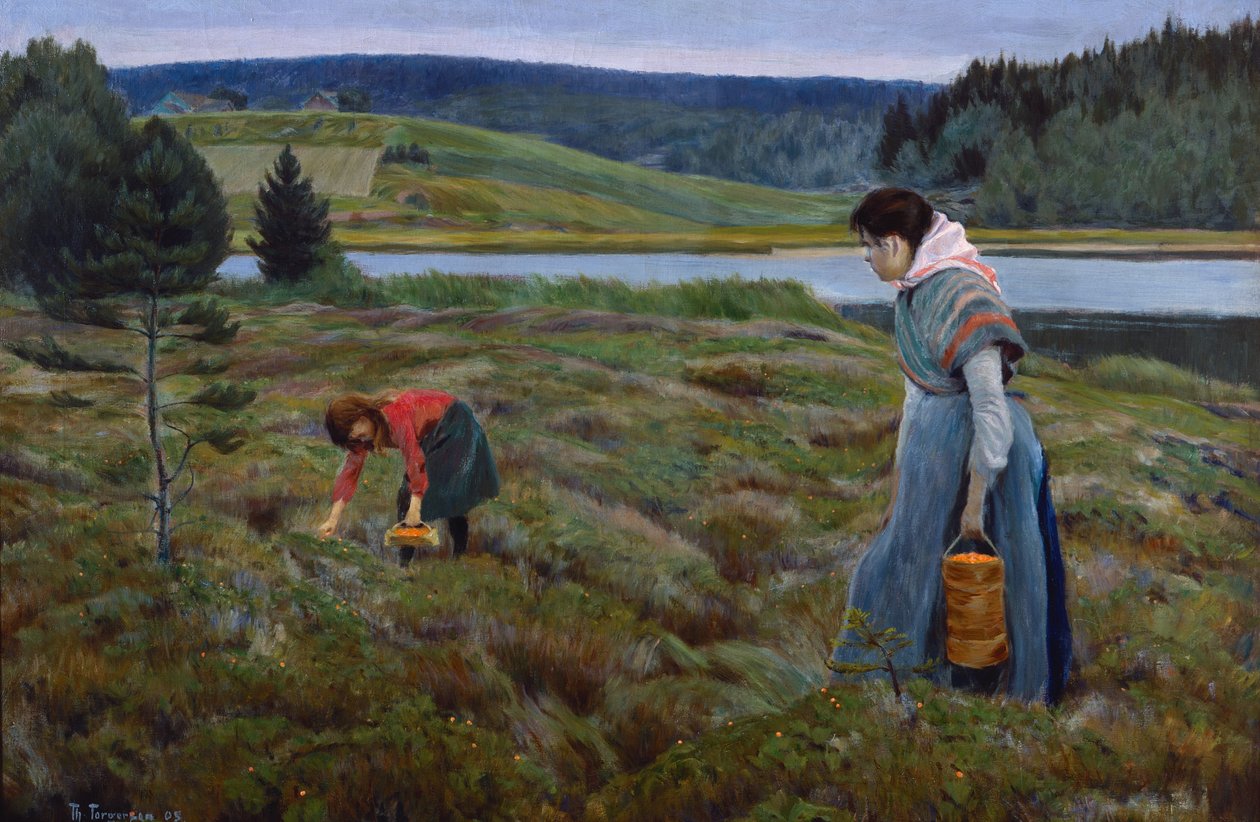 Plukker multebær av Thorvald Torgersen