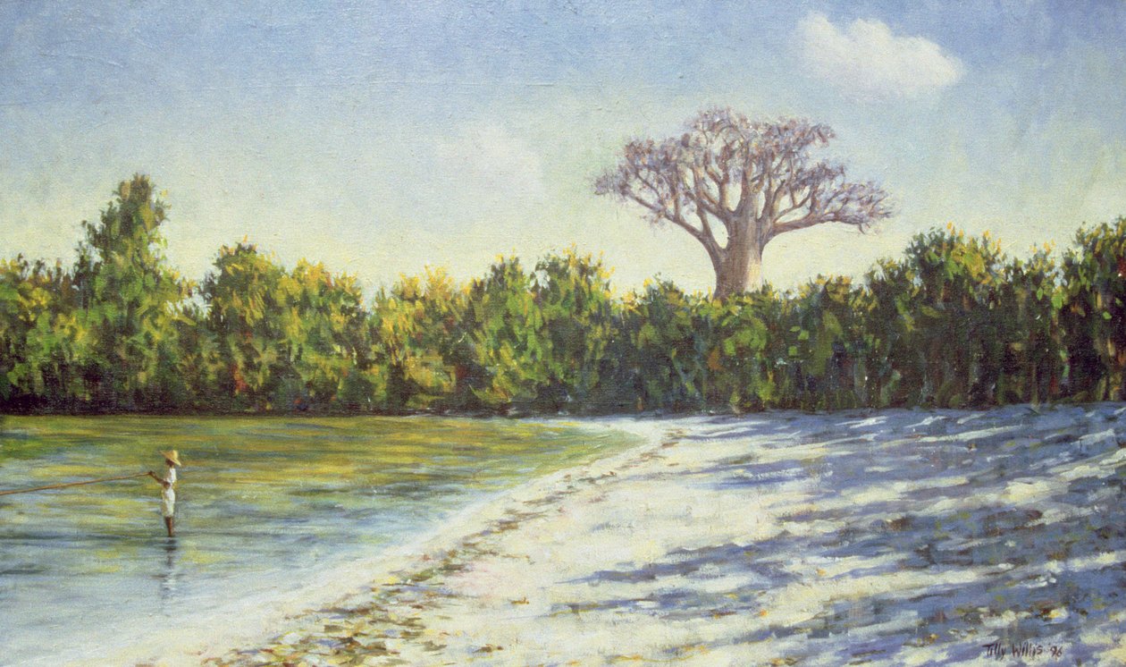 Fiske i Afrika, 1996 av Tilly Willis