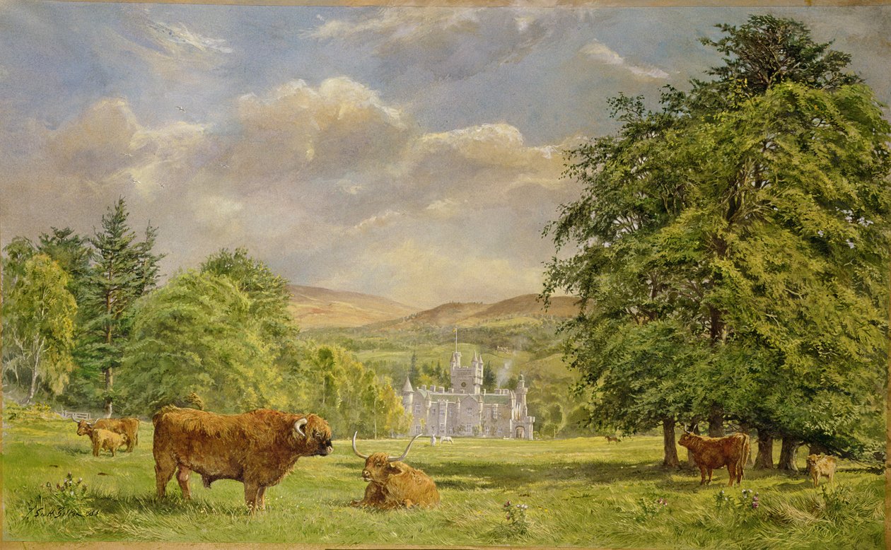 Bulls at Balmoral, 1988 (wc) av Tim Scott Bolton