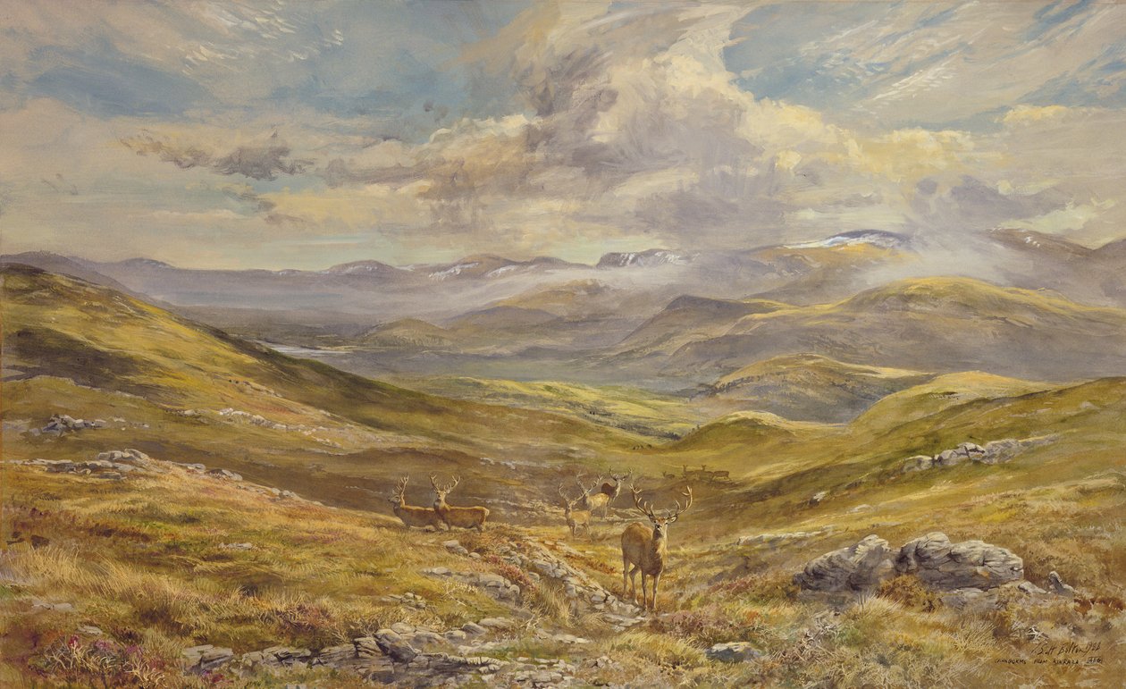 Cairngorms fra Kinrara, 1988 (wc) av Tim Scott Bolton