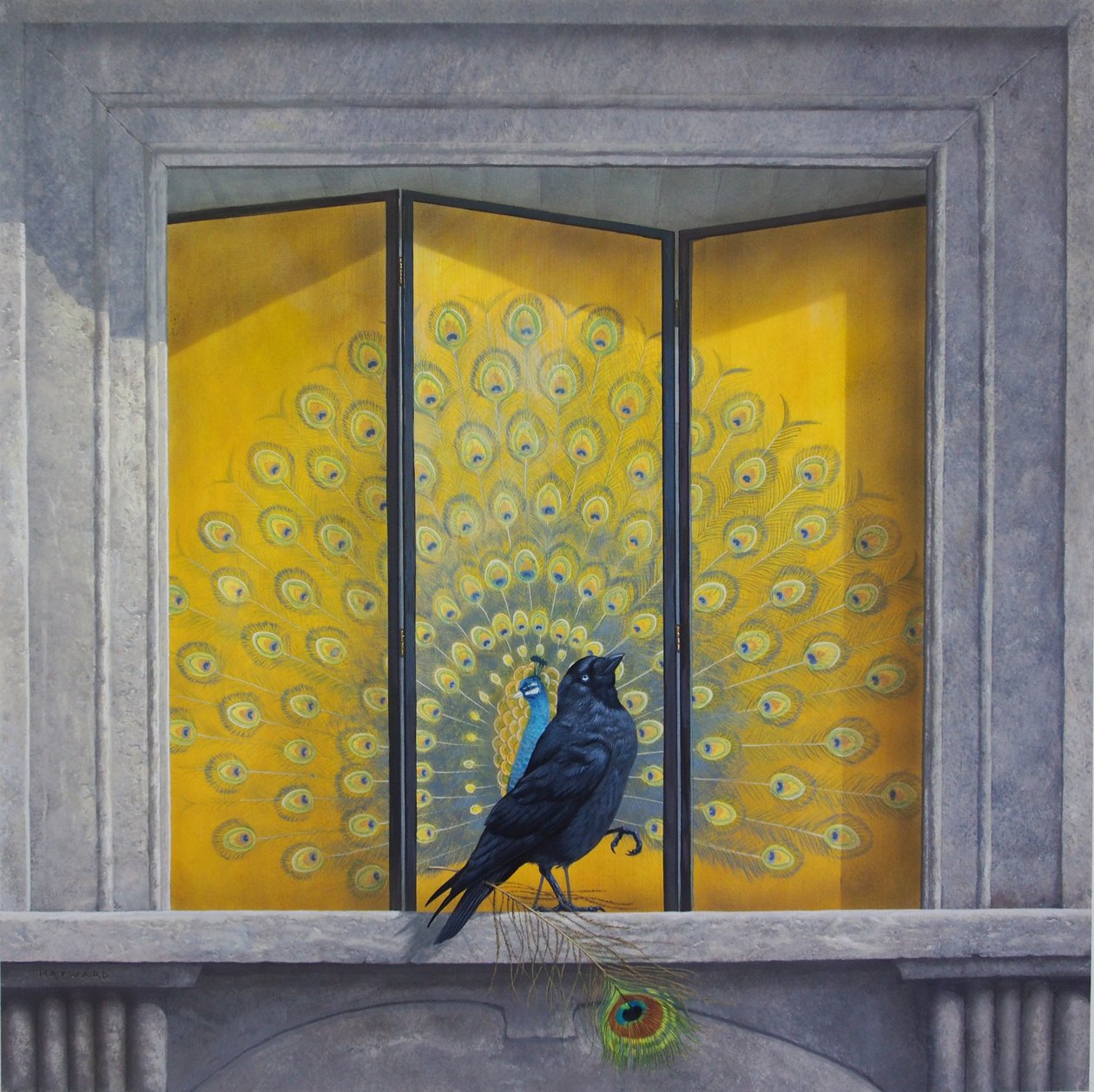Den forfengelige jackdaw av Tim Hayward