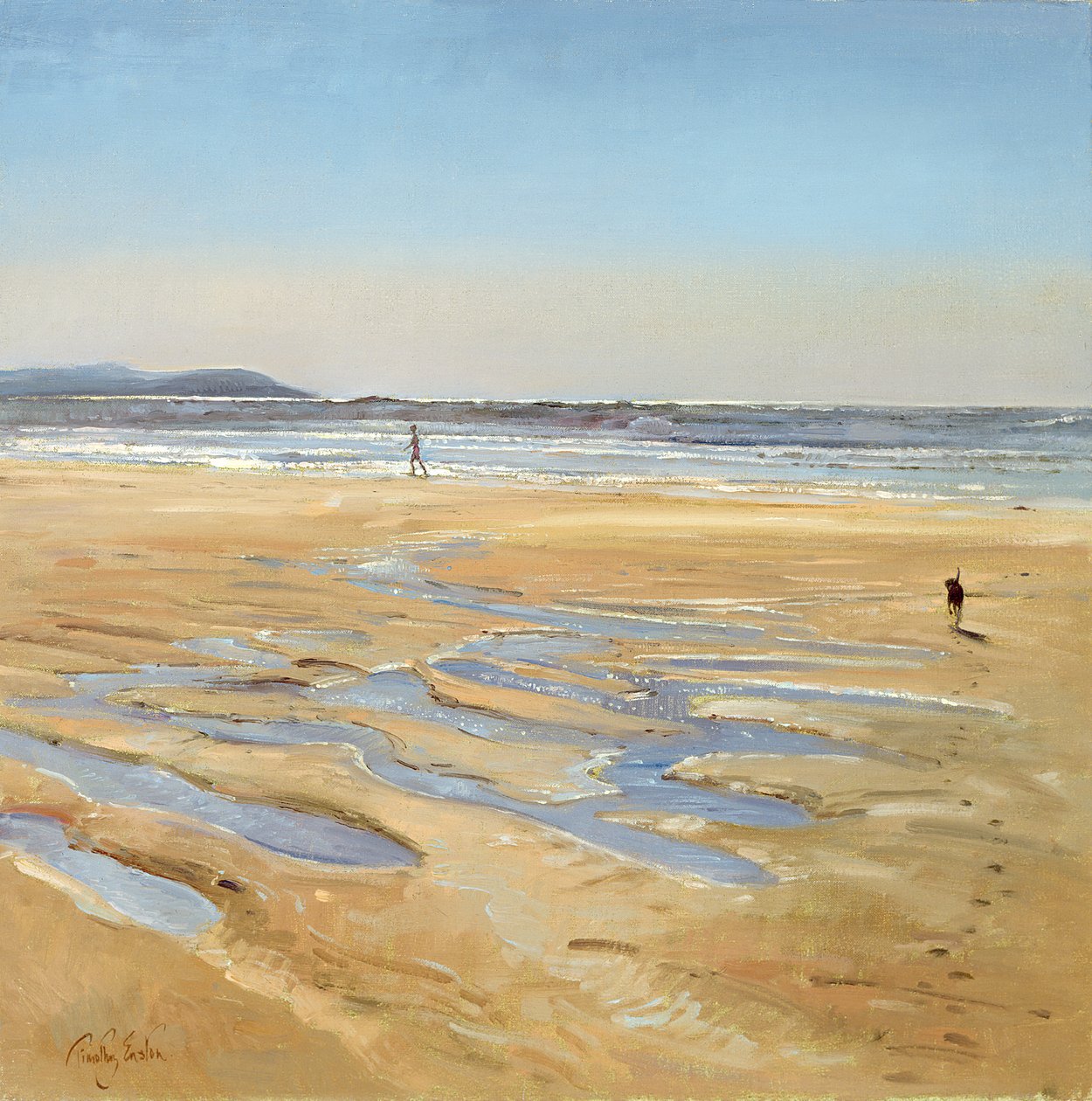 Strandvogner av Timothy Easton