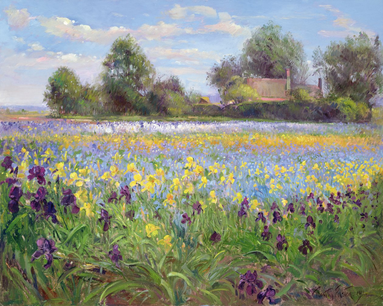 Farmstead og Iris Field, 1992 av Timothy Easton