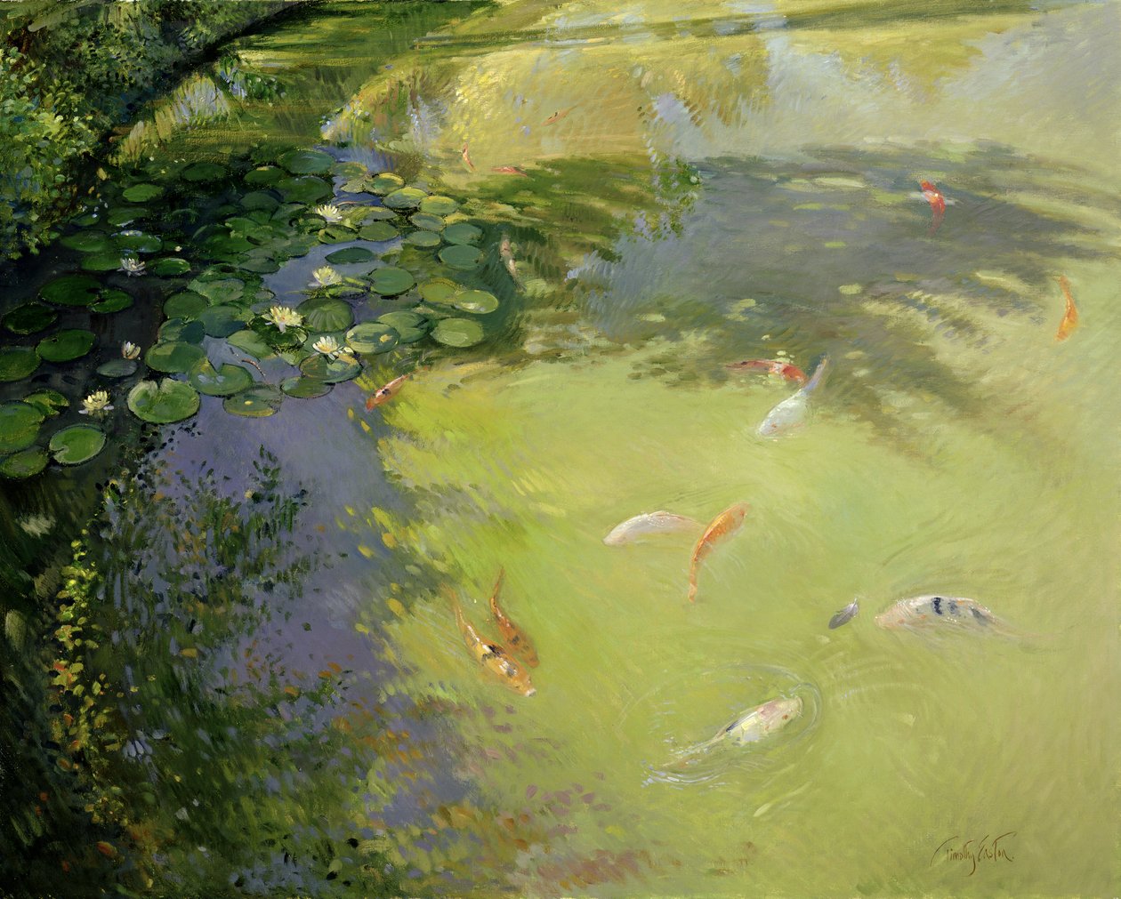 Fjærlek av Timothy Easton