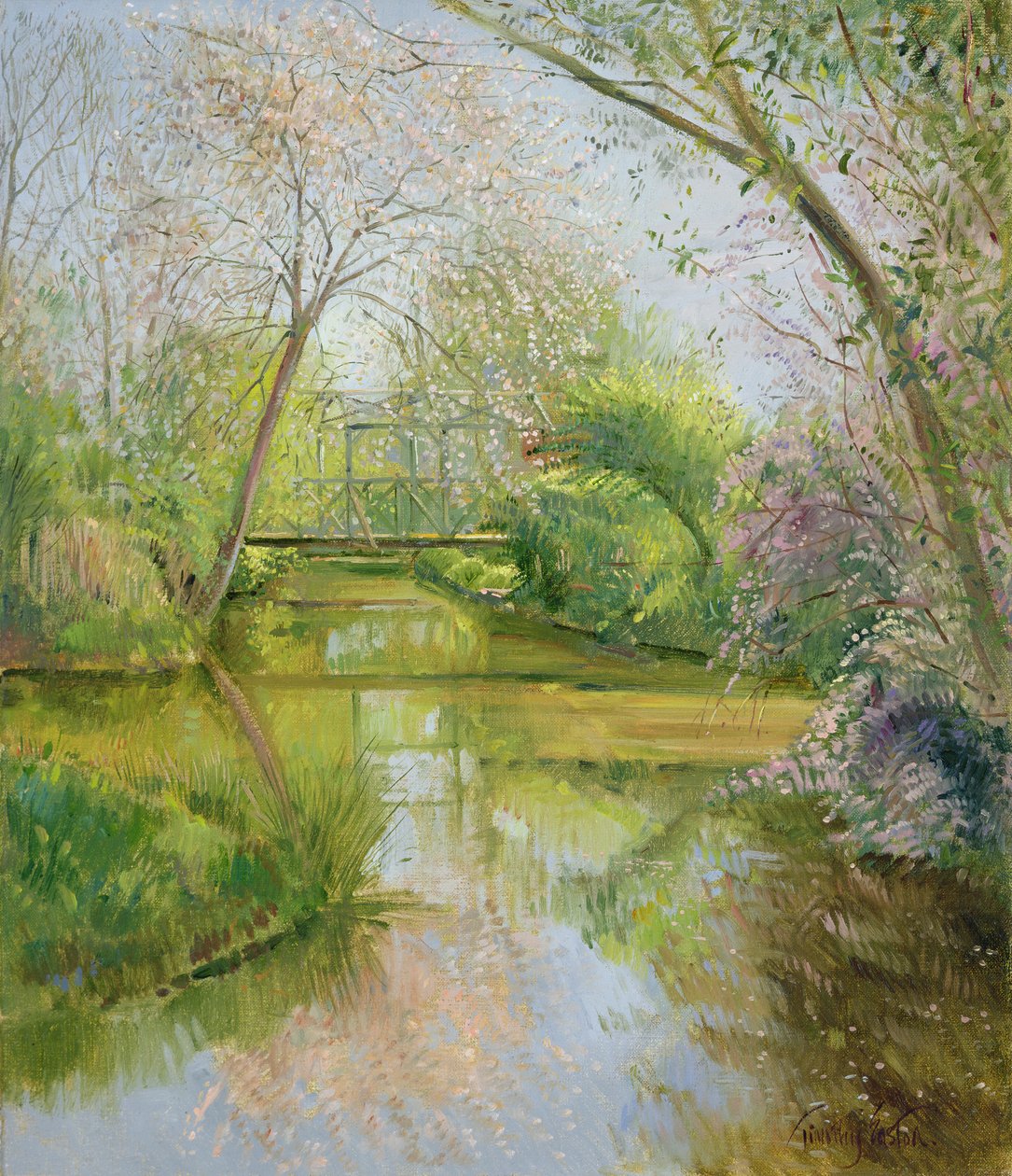 Full blomst av Timothy Easton