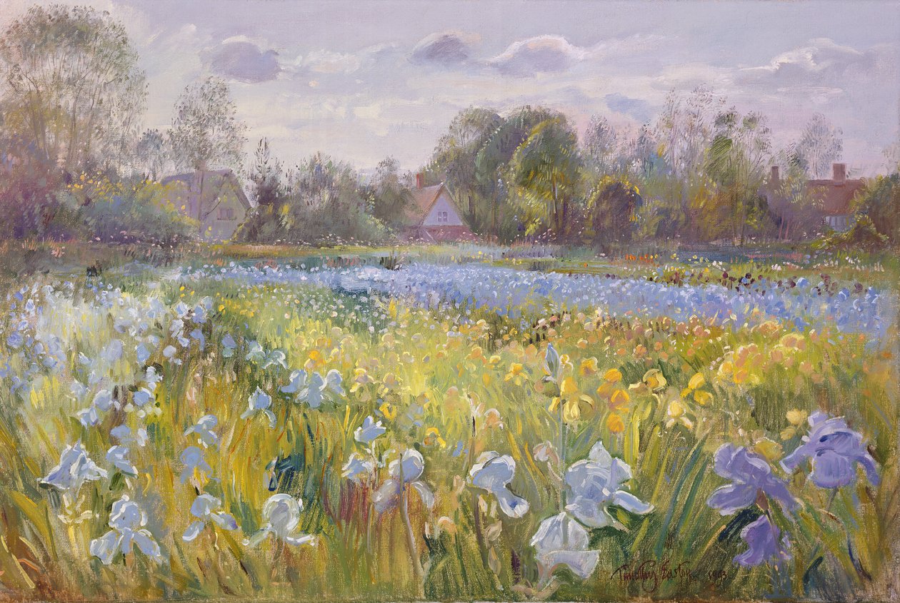 Iris Field in the Evening Light, 1993 av Timothy Easton