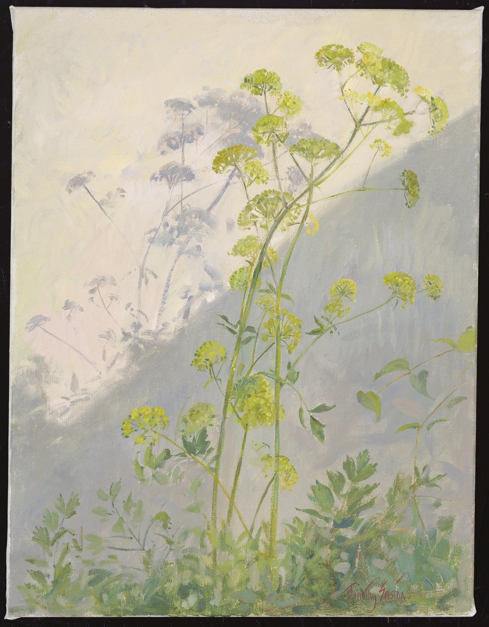 Lovage Against Diagonal Shadows, 1999 av Timothy Easton