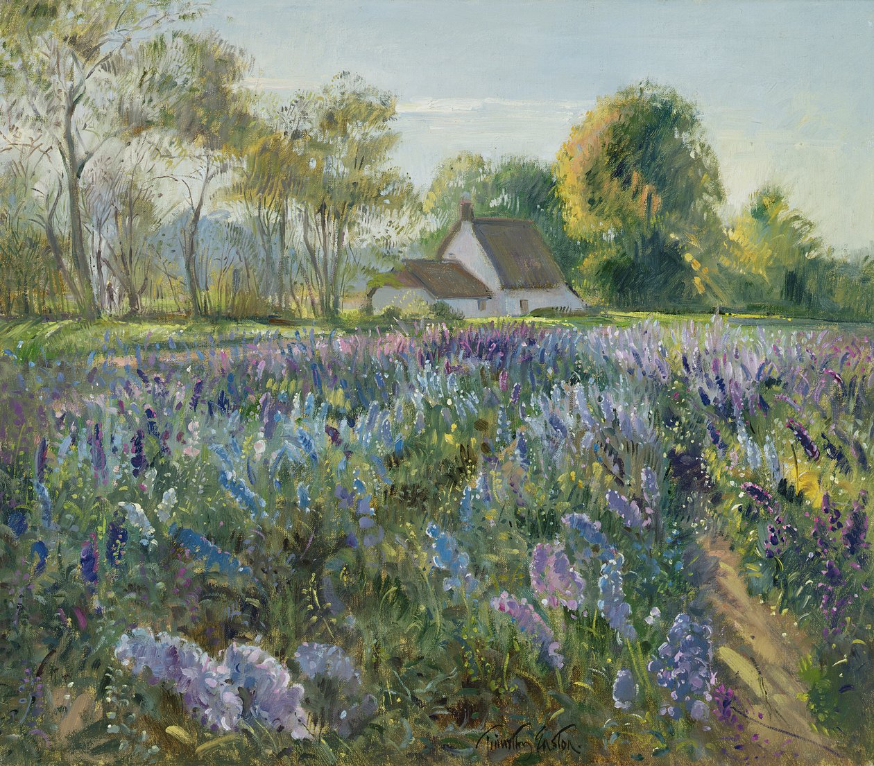 oktober Delphiniums av Timothy Easton