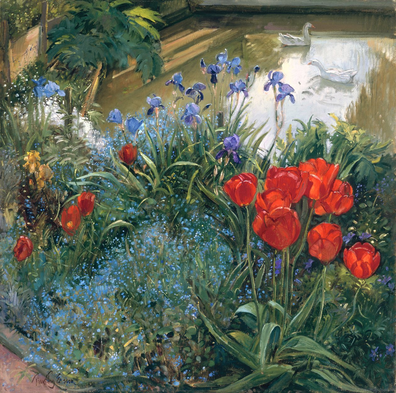 Røde tulipaner og gjess av Timothy Easton