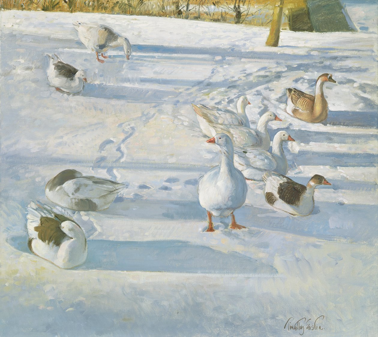 Hviler i bakken av Timothy Easton
