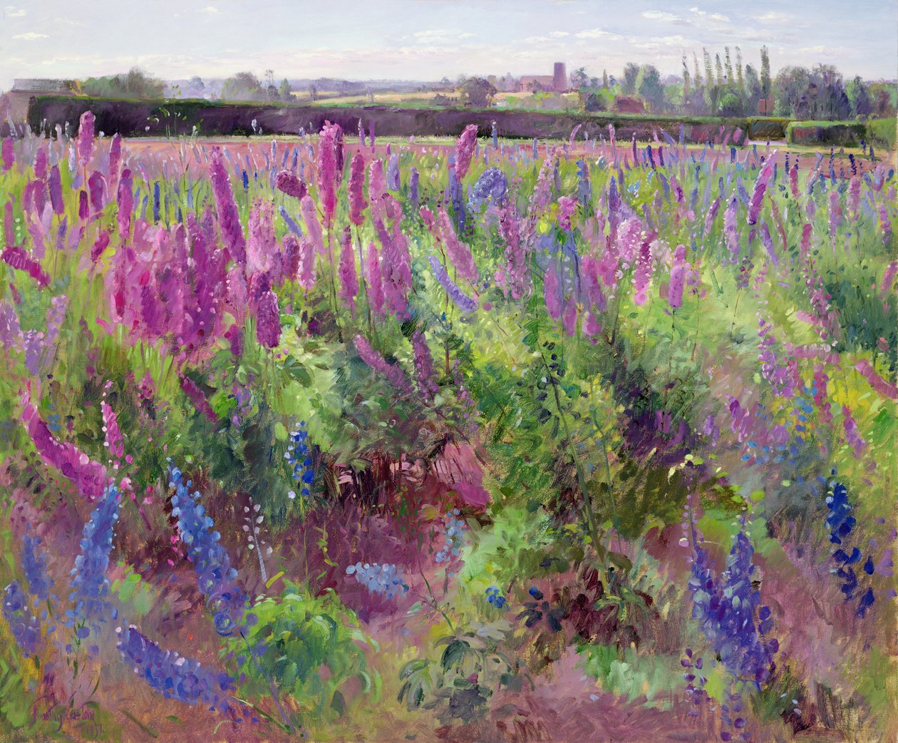 The Delphinium Field, 1991 av Timothy Easton