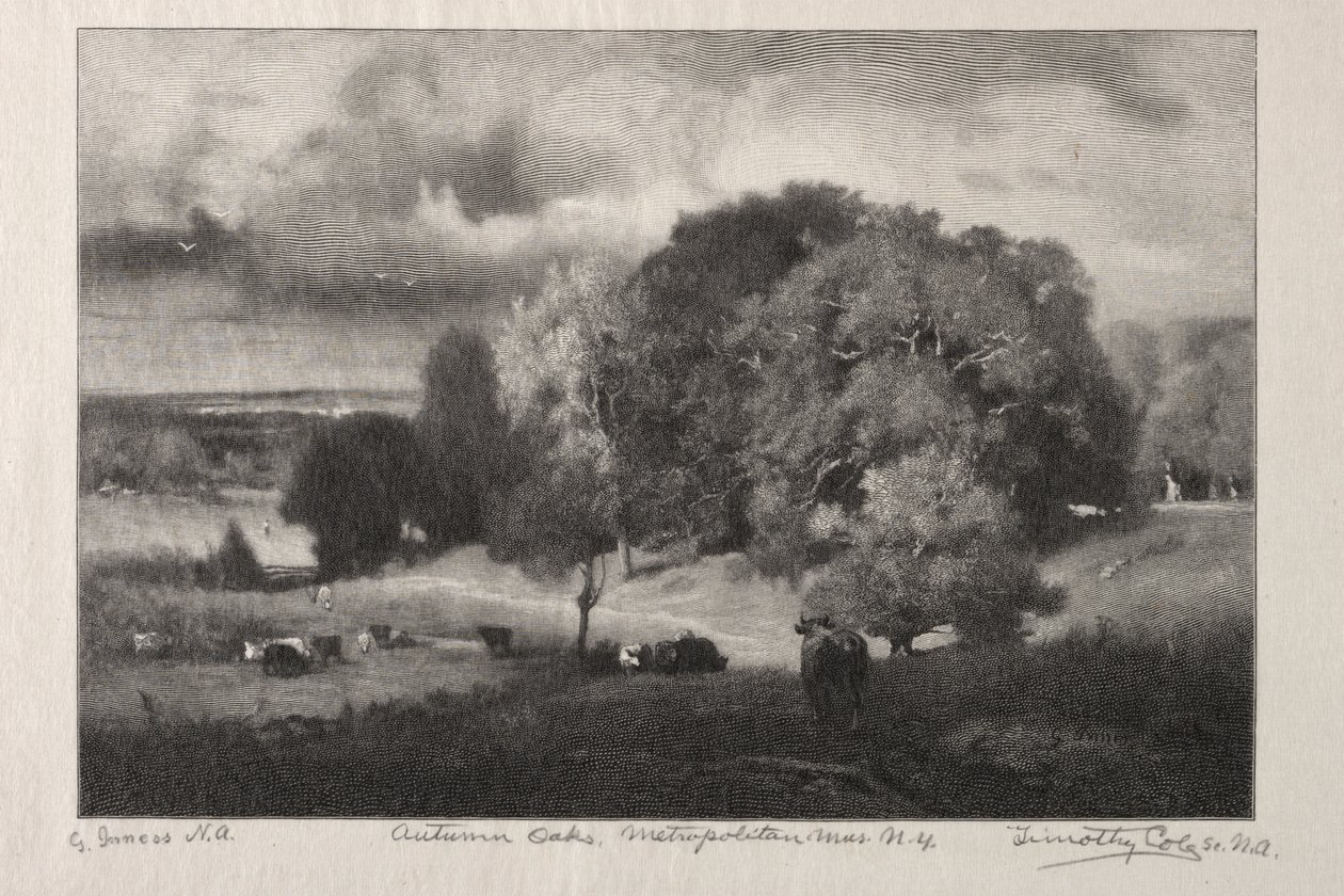 Autumn Oaks av Timothy Cole