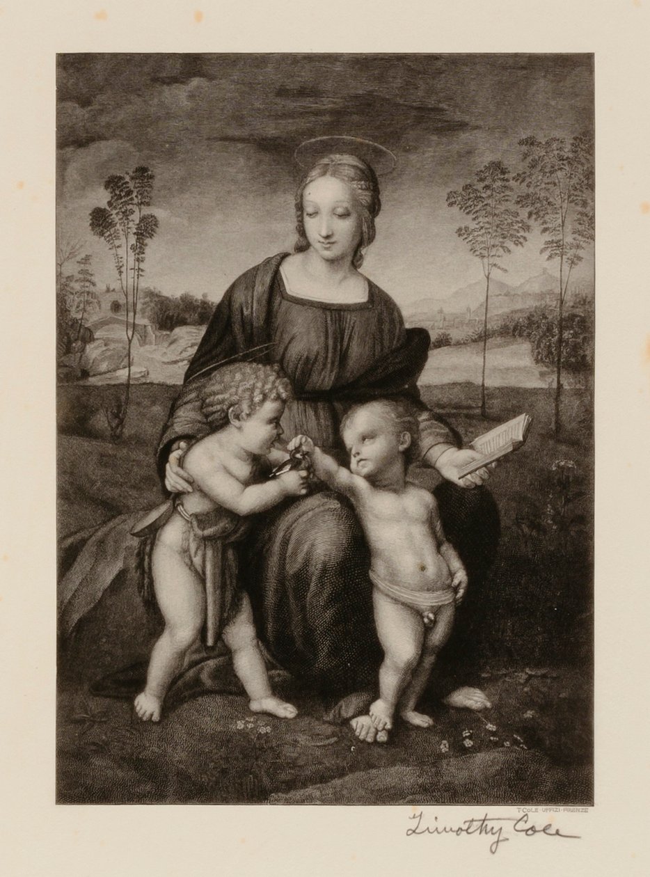  av Timothy Cole