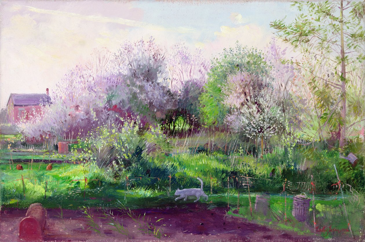 Allotment Stalker av Timothy Easton