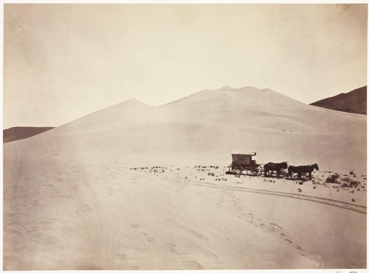 Sanddyner, Carson Desert, Nevada av Timothy H. O