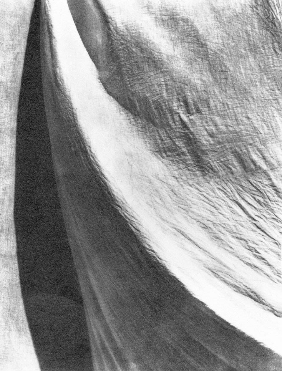 Cloth, Mexico, 1924 av Tina Modotti