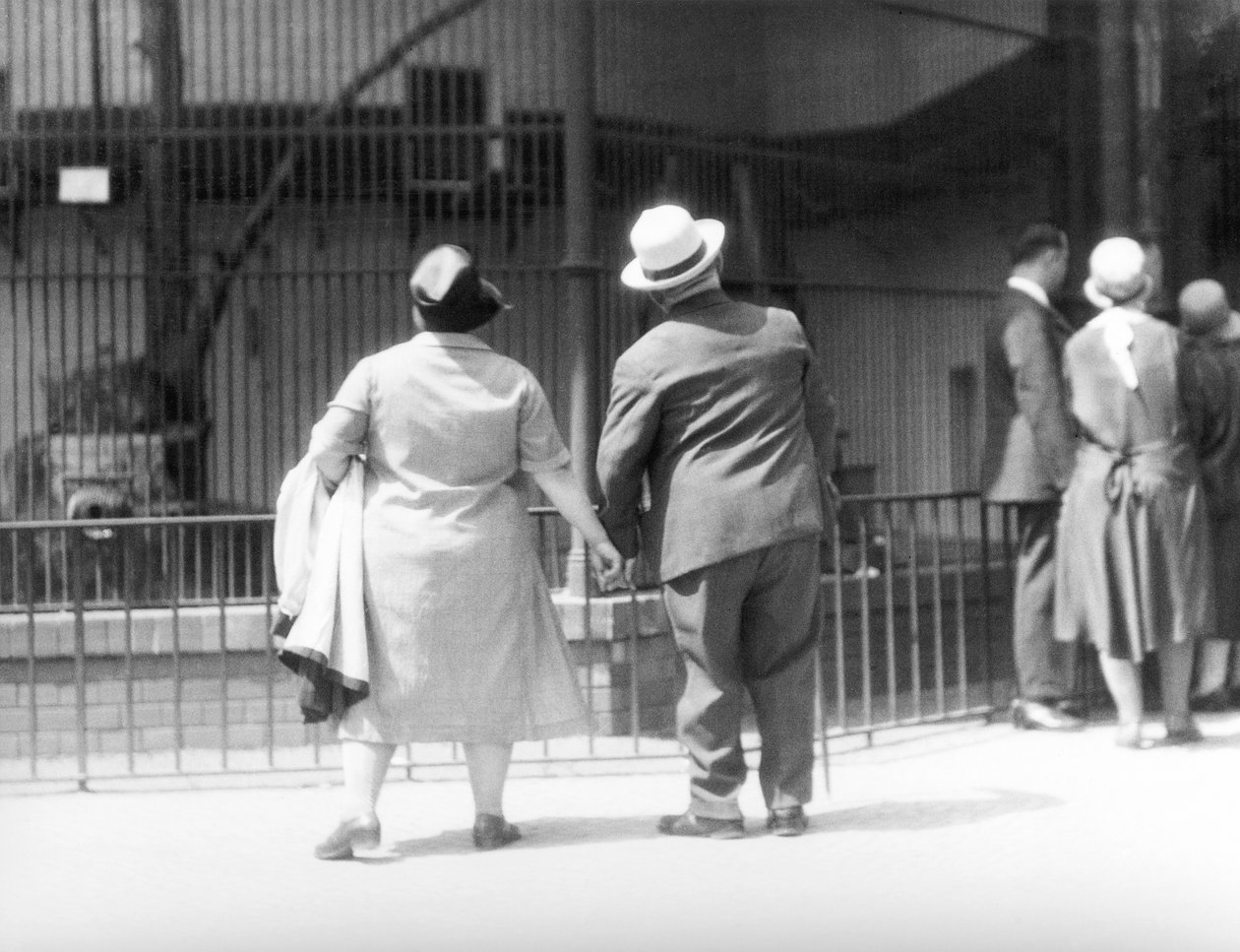 I Zoological Garden, Berlin, Tyskland, 1930 av Tina Modotti