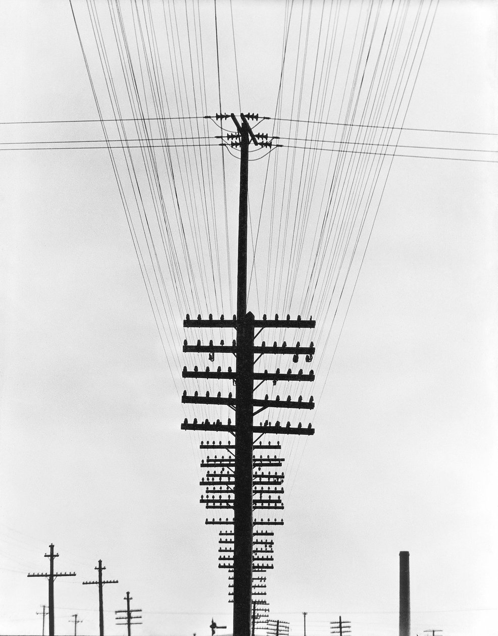 Telegraph Wires, Mexico, 1925 av Tina Modotti